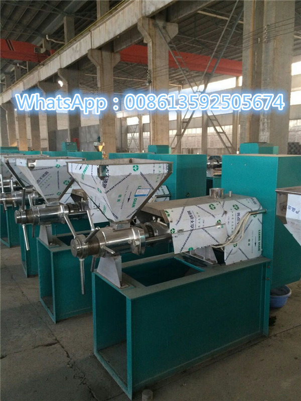 The HR125 soybean oil press machine 