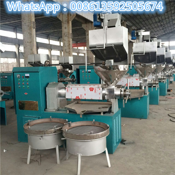 Screw type oil press machine 